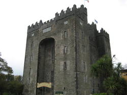 Bunnratty Castle and Folk Park