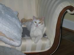 Cat 2 Oct 2004 0005