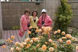 Botanical Gardens and Wine Tour - Thursday and Friday