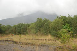 Arenal Volcano 115.JPG