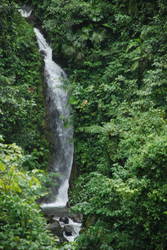 Rainforest Tour 168.JPG