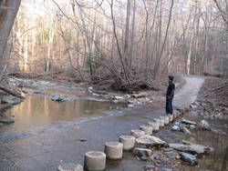 Scott's Run Nature Preserve (January 7, 2012)